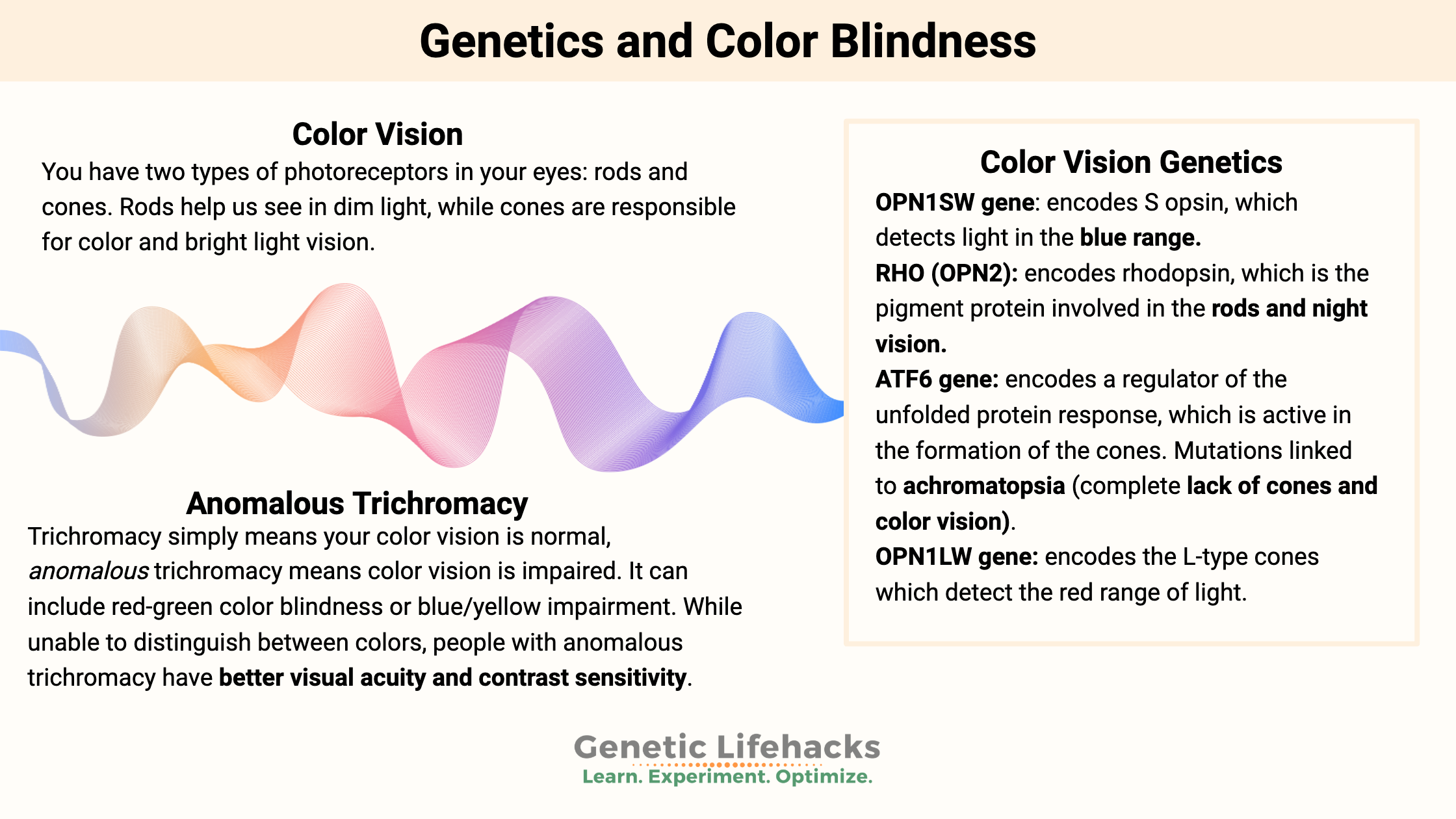 Genetics and Color Blindness, Anomalous Trichromacy, how color vision works