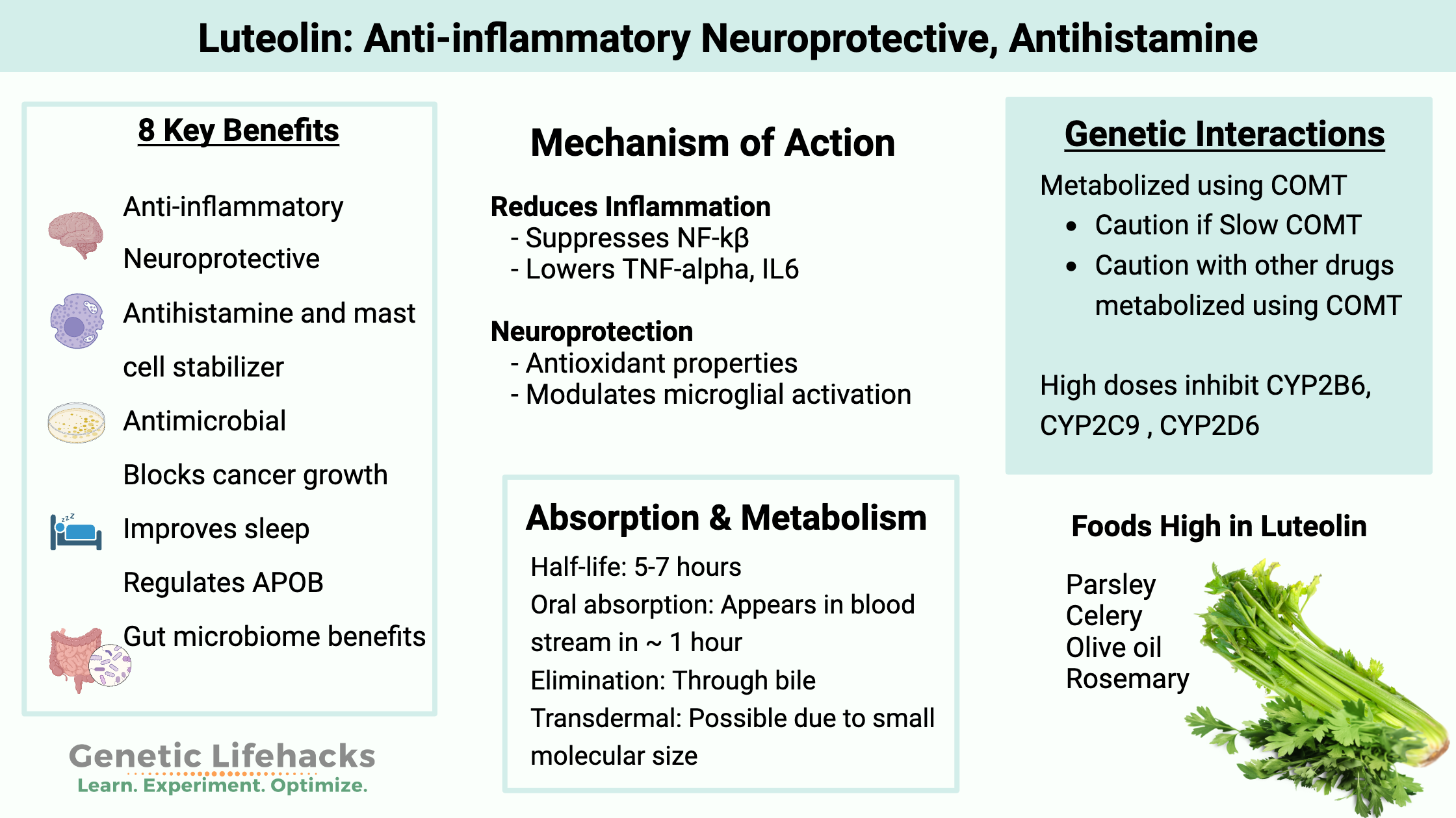 Luteolin: Anti-inflammatory Neuroprotective, Antihistamine, food high in luteolin, genetic