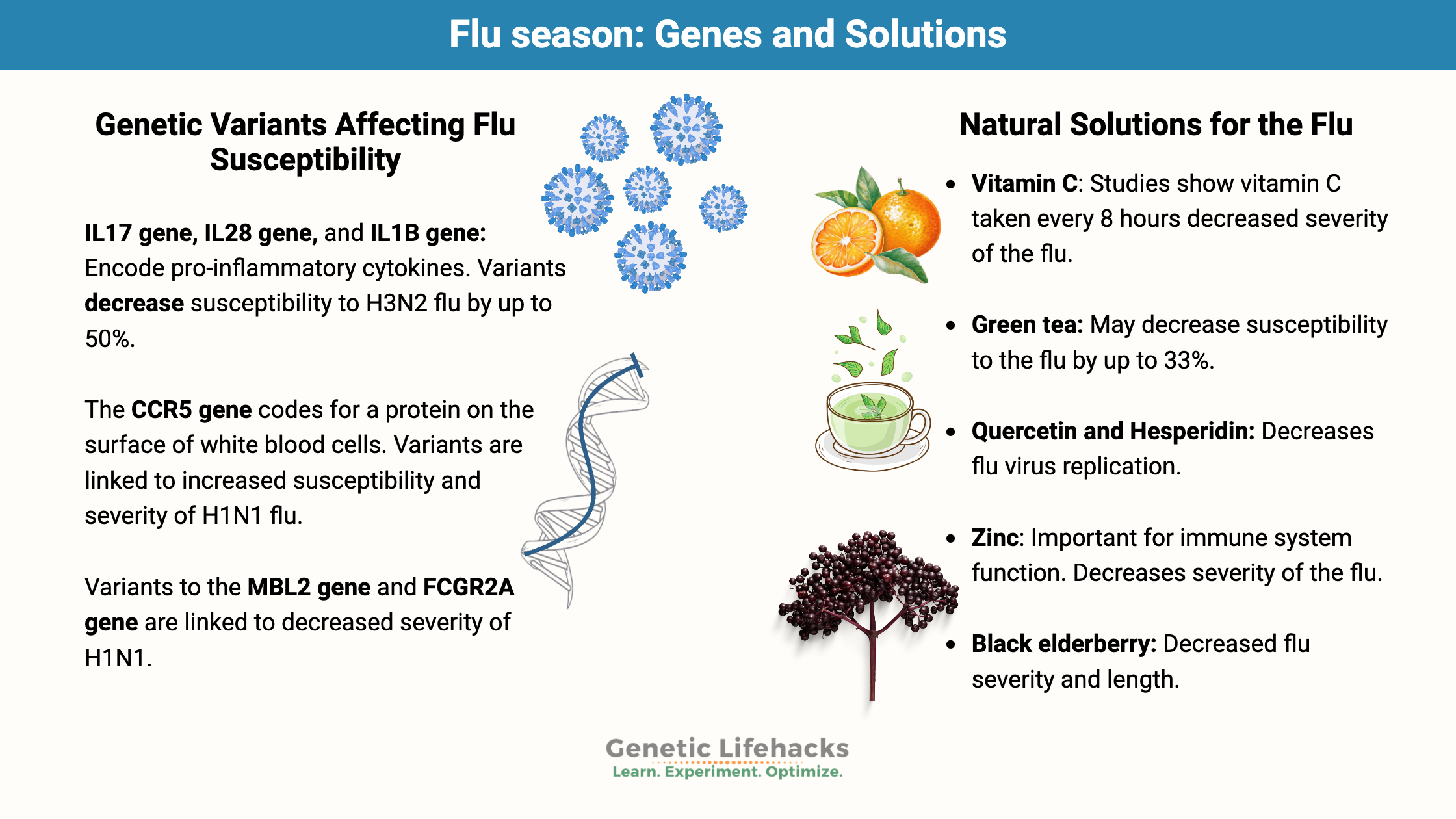 Genetic variants that affect susceptibility and intensity to the flu. Natural ways to combat the flu.