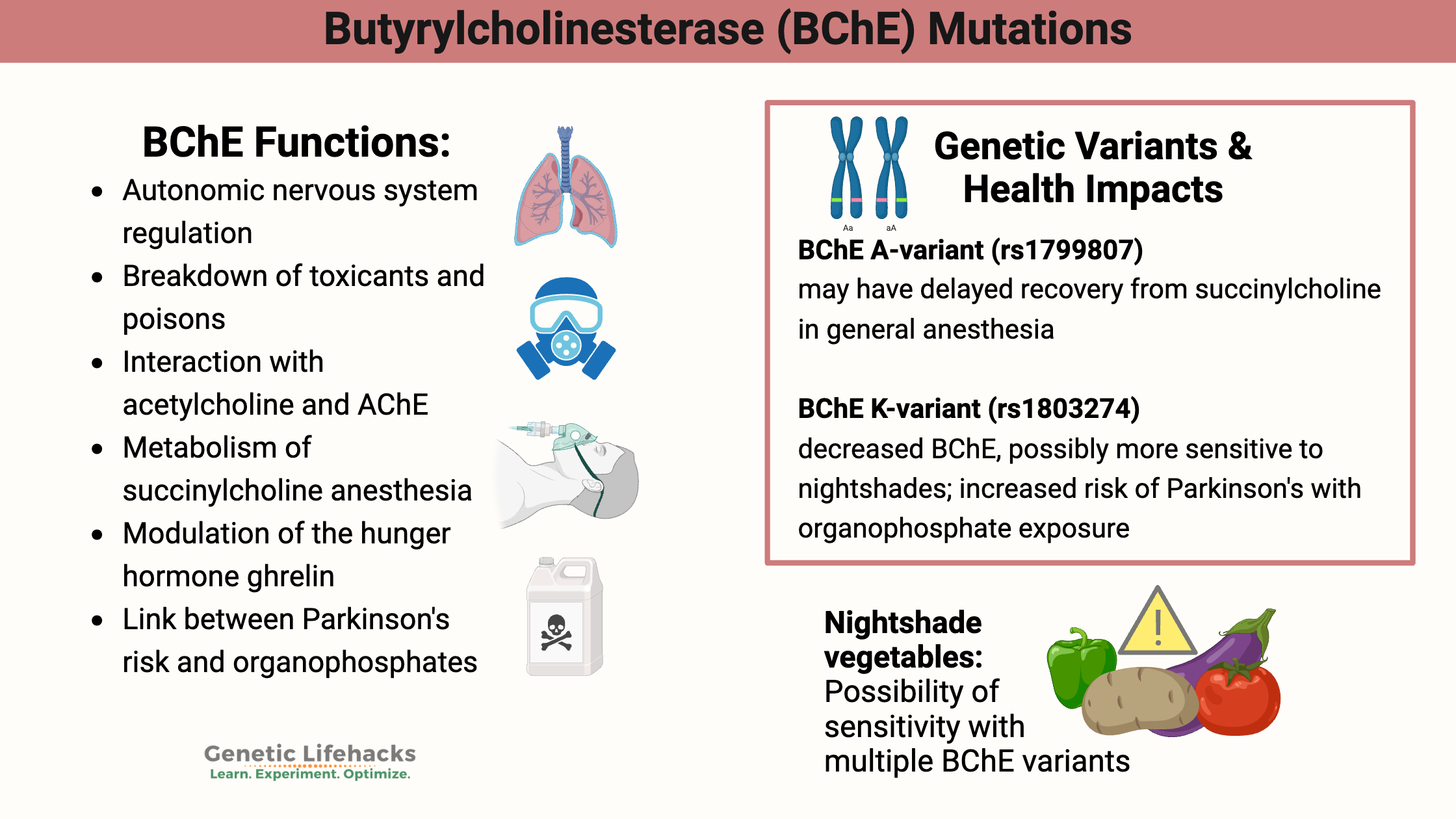 Butyrylcholinesterase (BChE) gene variants