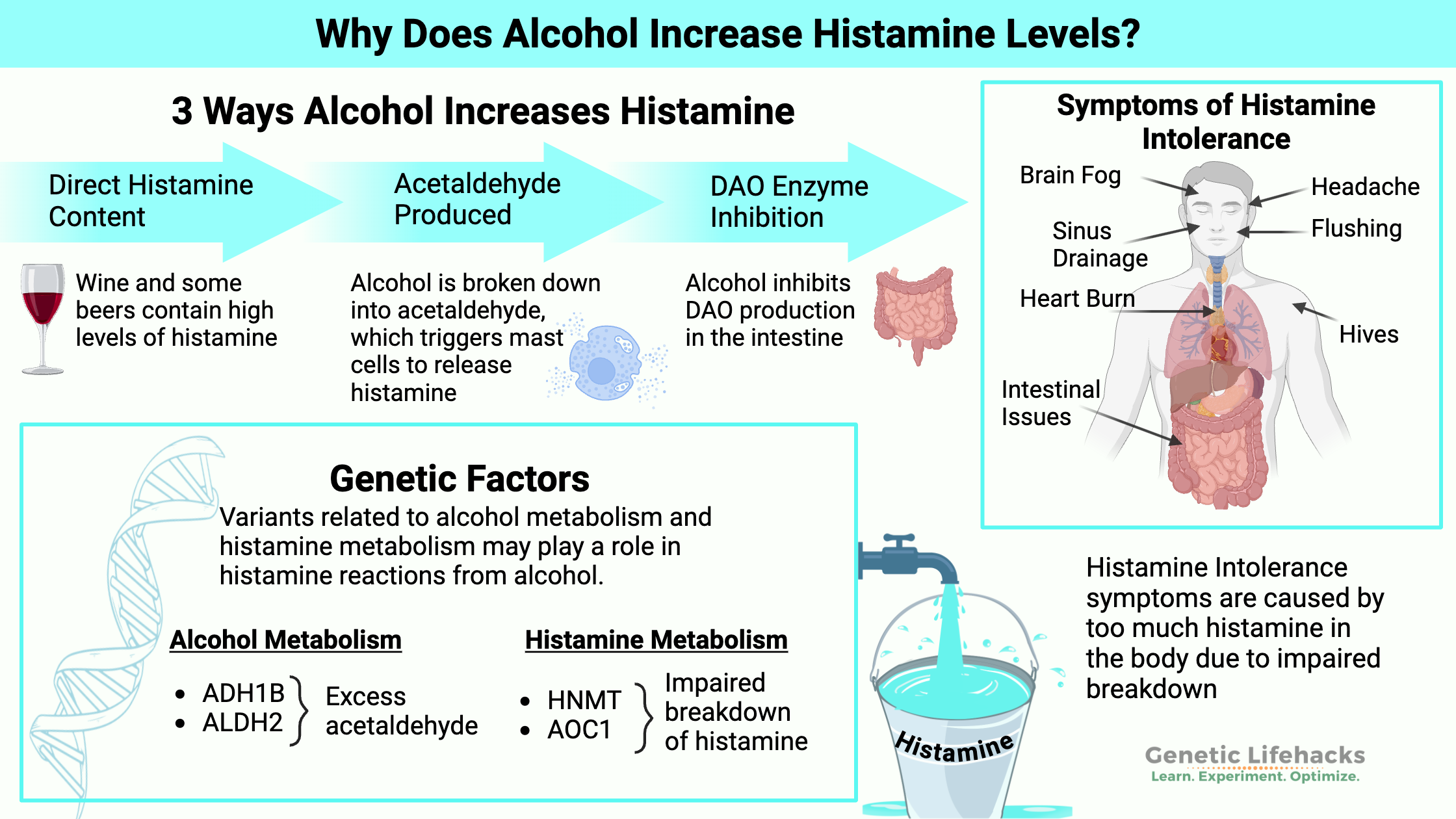 Alcohol and Histamine intolerance, DAO enzyme, symptoms of histamine intolerance