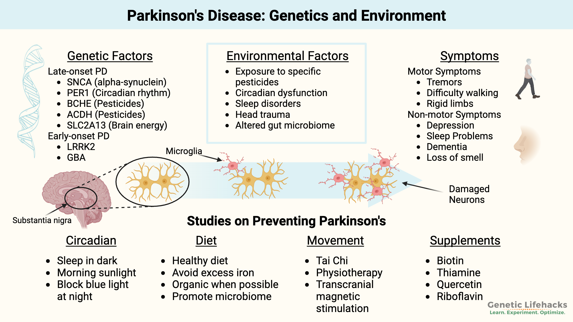 Parkinson's Disease genetic factors and environmental factors, Parkinson's symptoms