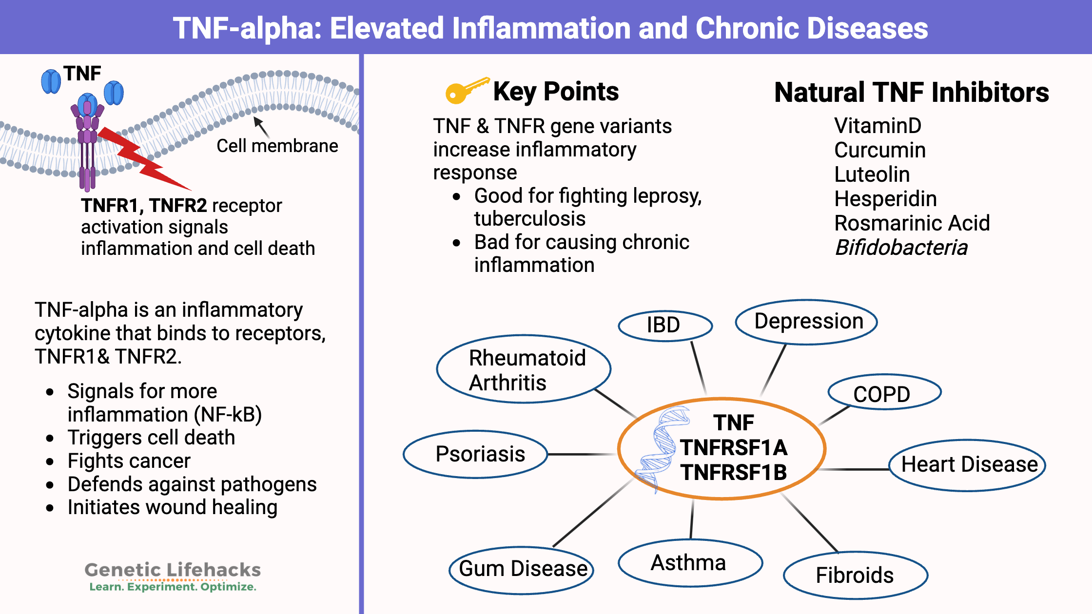 TNF-alpha inhibitors, TNF-alpha genes, pathway