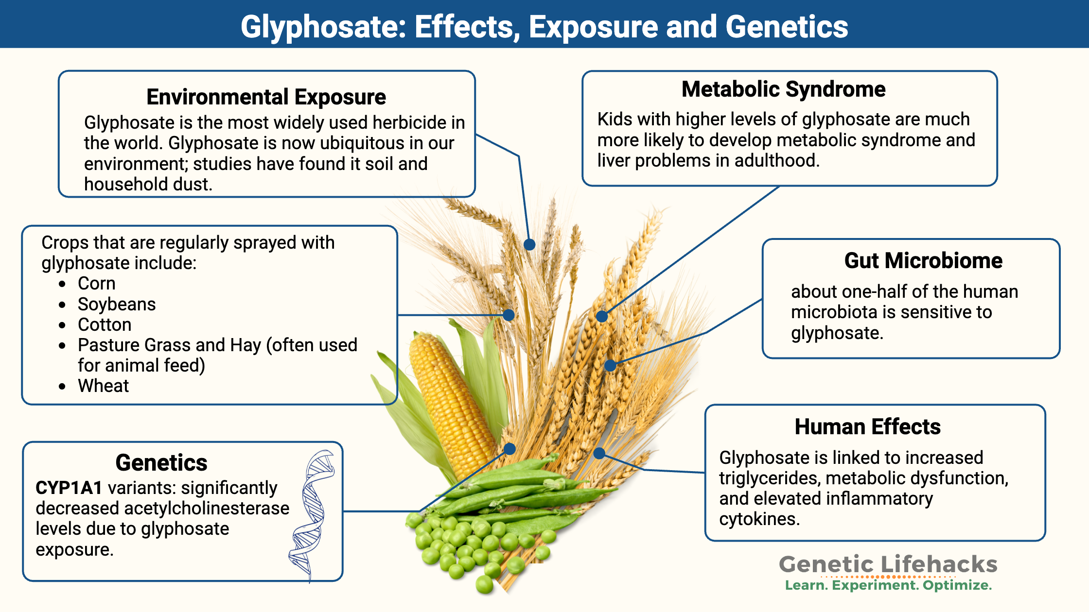 Glyphosate exposure effects, gut microbiome, glyphosate genetics