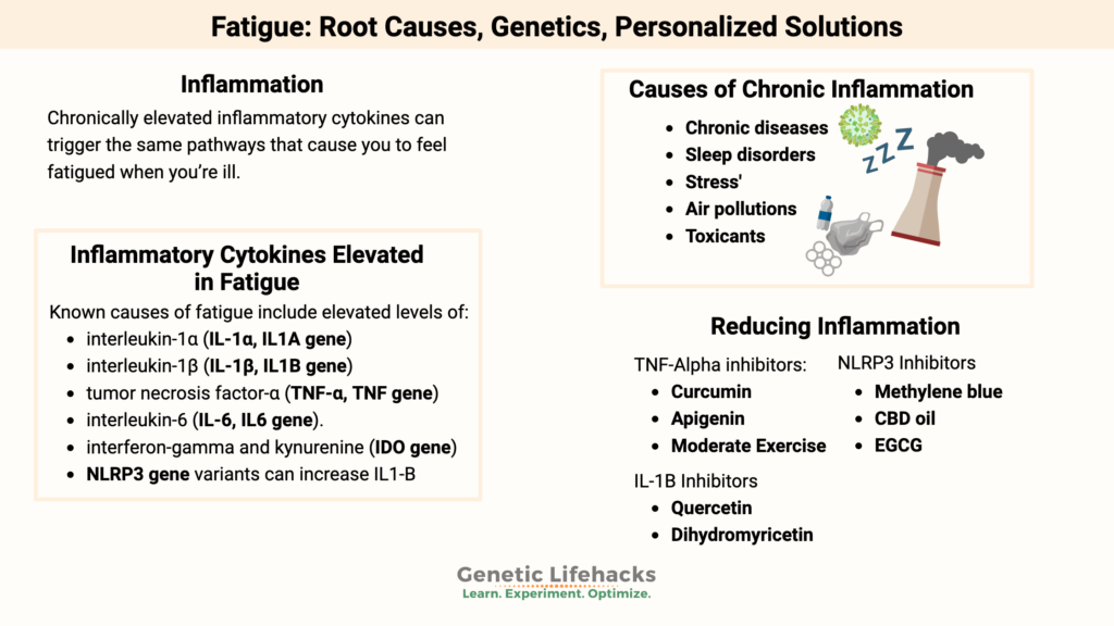 Inflammation as a cause of chronic fatigue, inflammation genetic variants, natural inflammation inhibitors