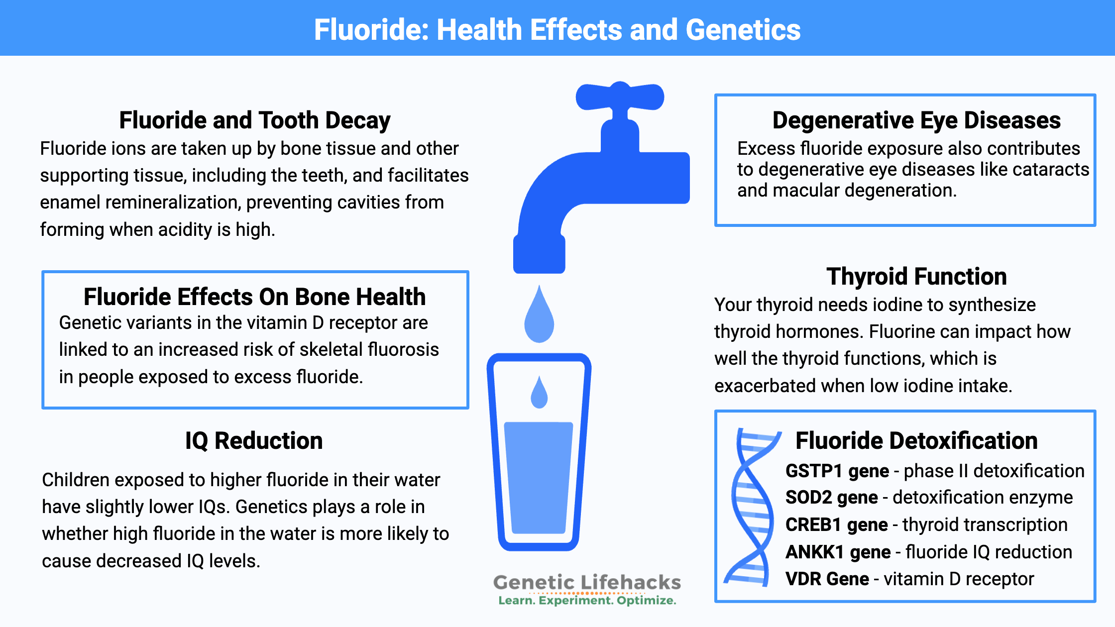 Health Effects of Fluoride and Genetics that affect fluoride detoxification