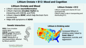 Lithium orotate mood genes, B12
