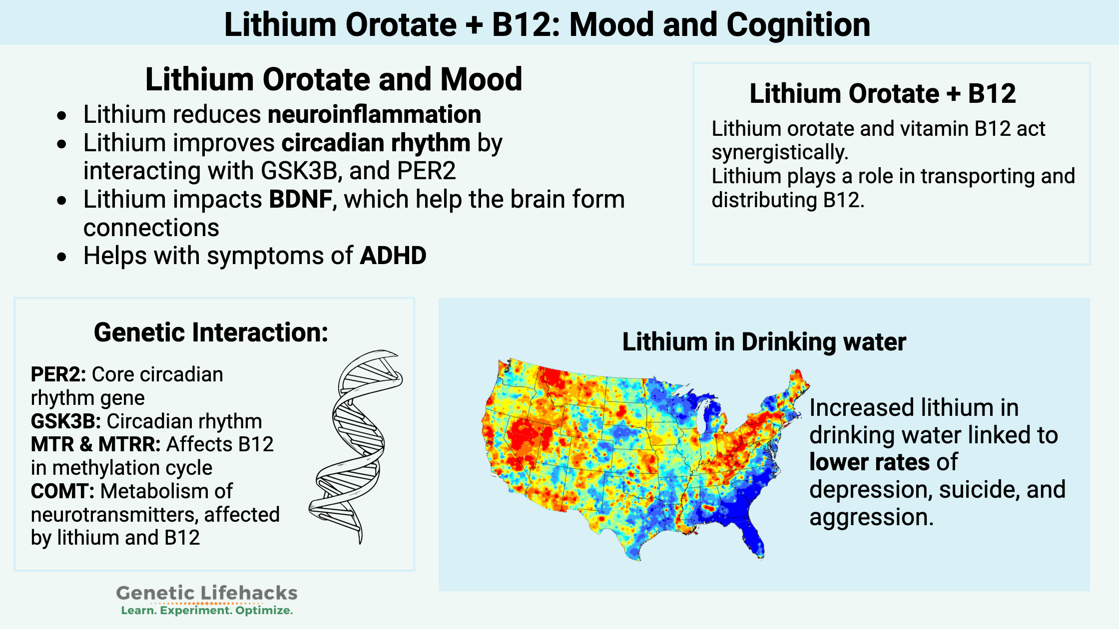 Lithium orotate mood genes, B12
