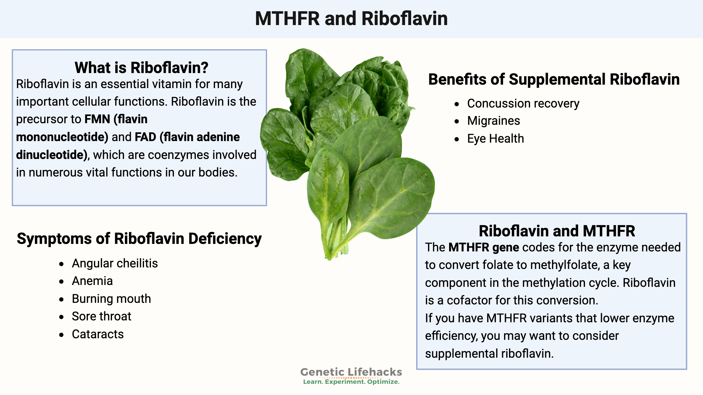 MTHFR and Riboflavin, Symptoms of riboflavin deficiency