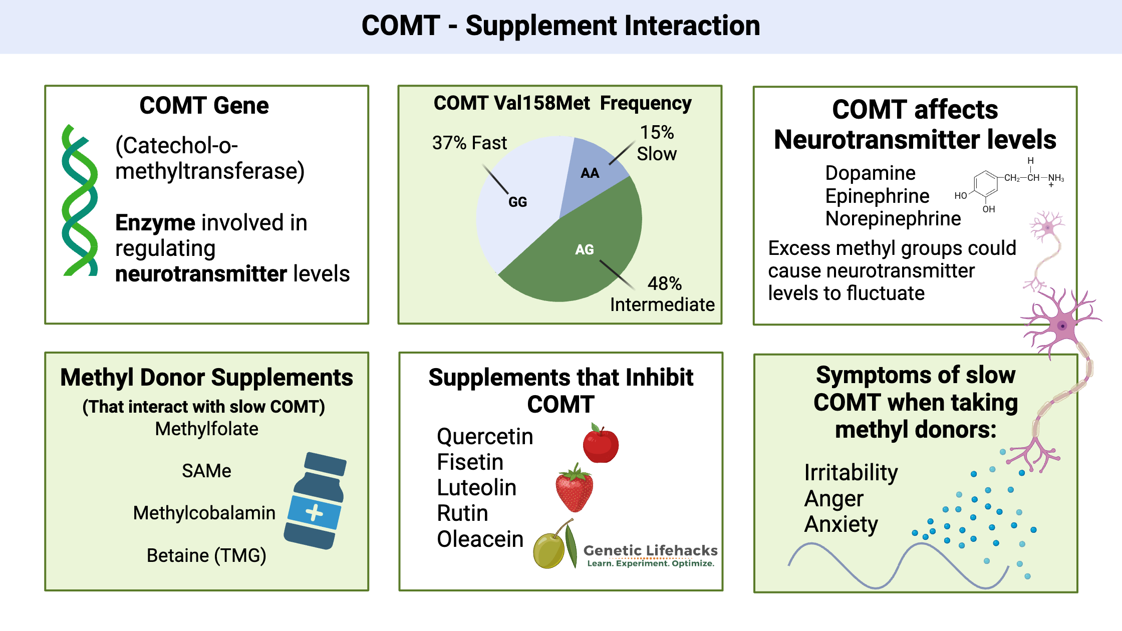 COMT supplement interactions, slow COMT, fast COMT, SNP