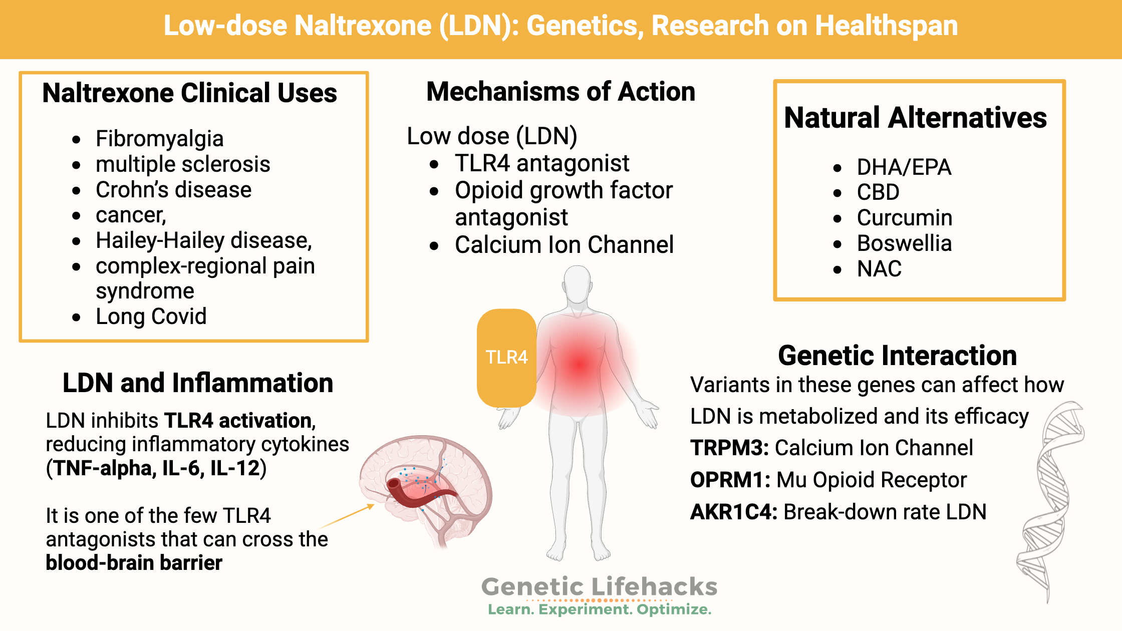 Naltrexone Uses, Low Dose Naltrexone, Genetic interactions with Naltrexone
