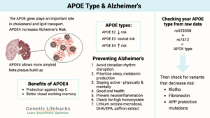 APOE type, APOE4 + Alzheimer's, Alzheimer's prevention