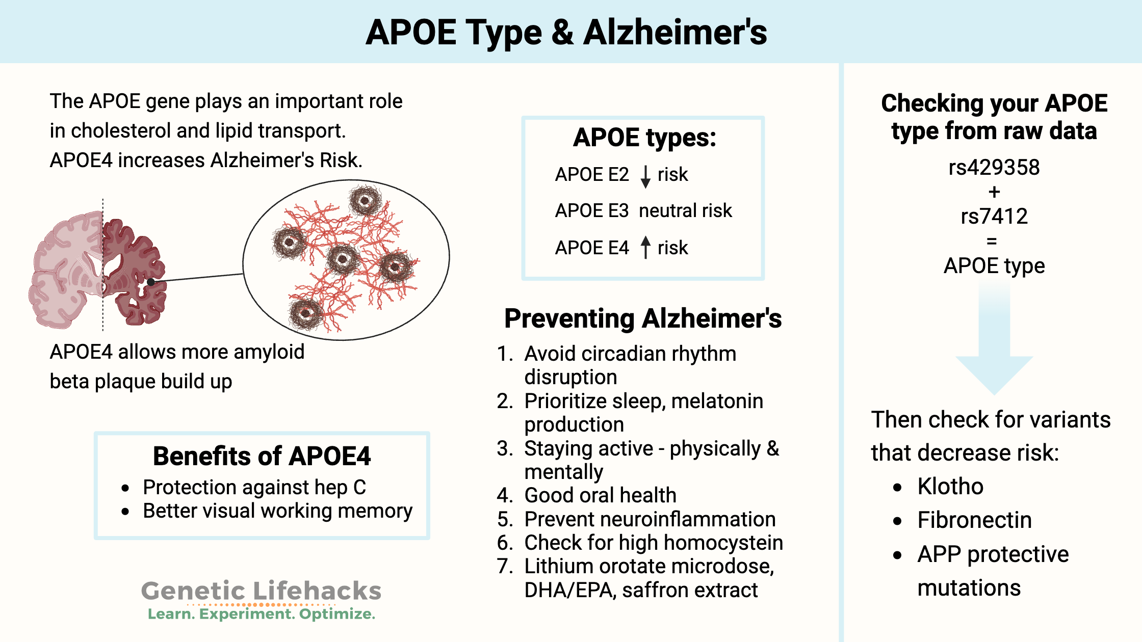 APOE type, APOE4 + Alzheimer's, Alzheimer's prevention
