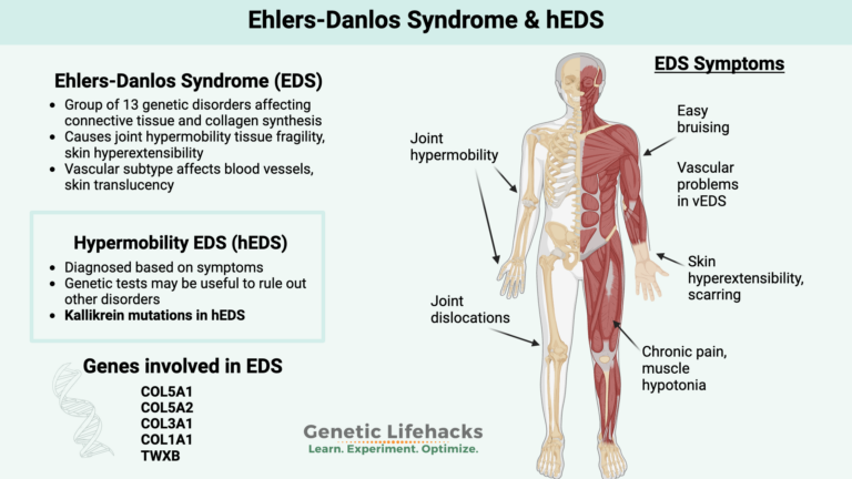 Ehlers Danlos Syndrome: Genes, Types, and Treatments