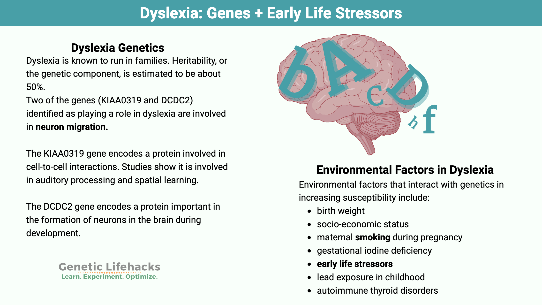 Environmental and Genetic factors that lead to dyslexia