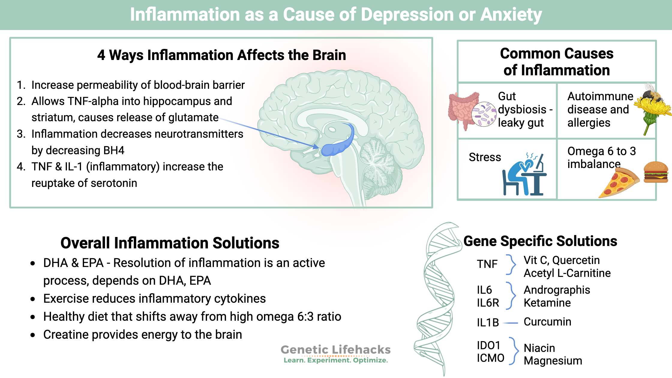 Inflammation as a cause of depression, ways to reduce inflammation, genetic variants that increase inflammation