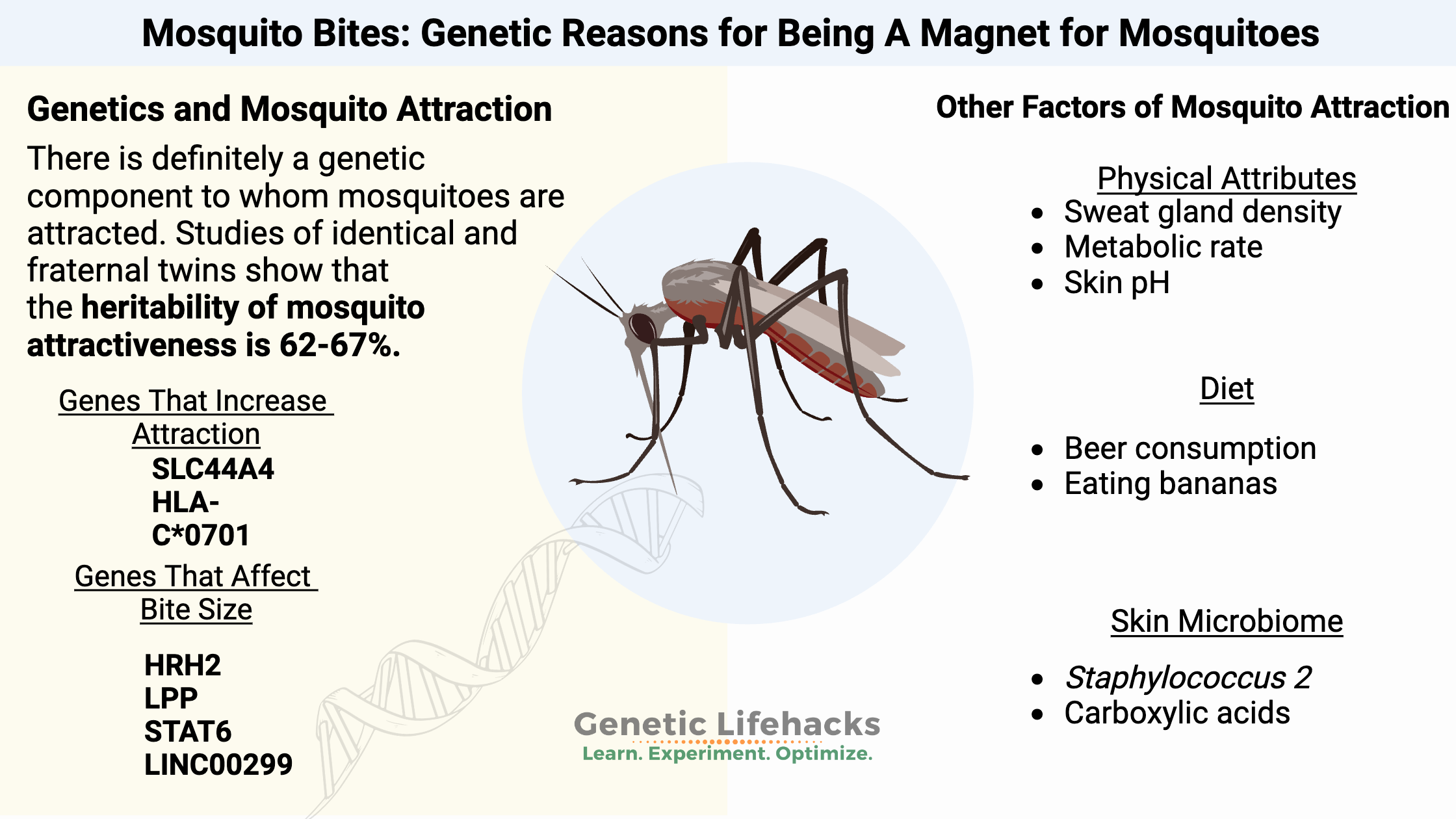 Mosquito Genes, Factors that affect who mosquitos are attracted to