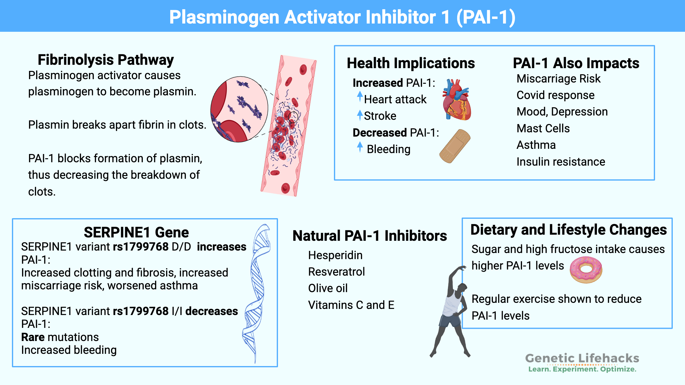 Plasminogen Activator Inhibitor 1 (PAI-1), SERPINE1 Gene, health implications, Natural PAI-1 Inhibitors