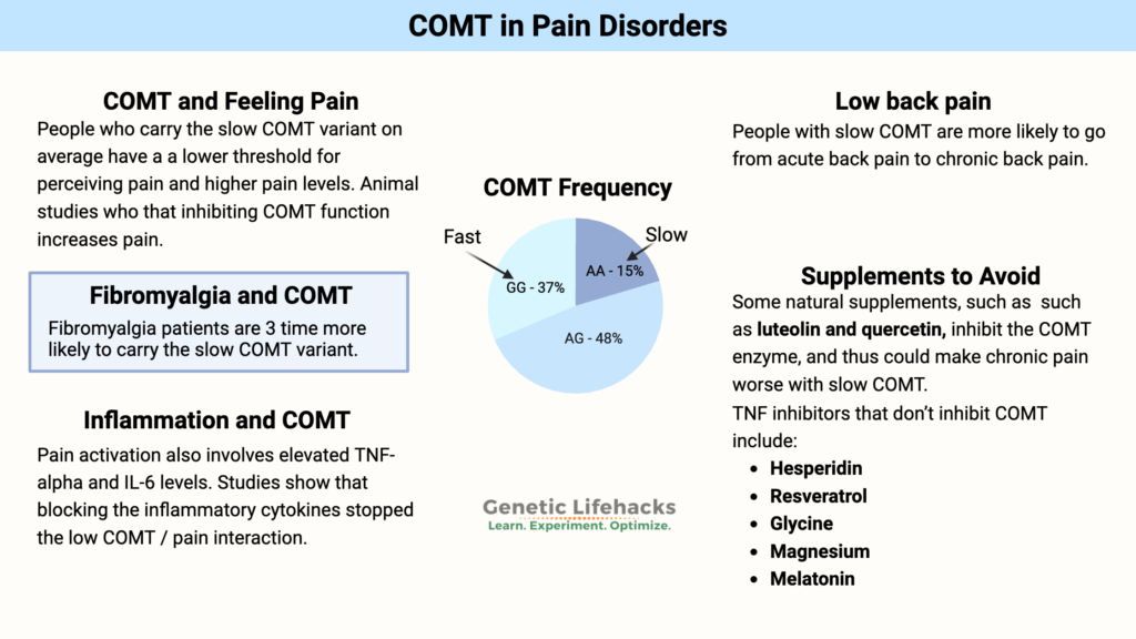 COMT and Chronic Pain, Fibromyalgia, chronic back pain, natural supplements to avoid for slow COMT