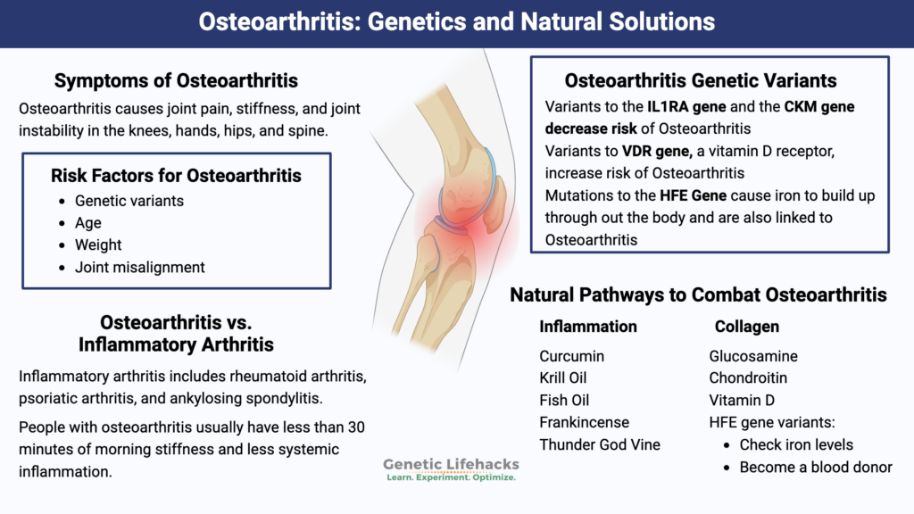 Osteoarthritis, Genetics, inflammation, and natural solutions