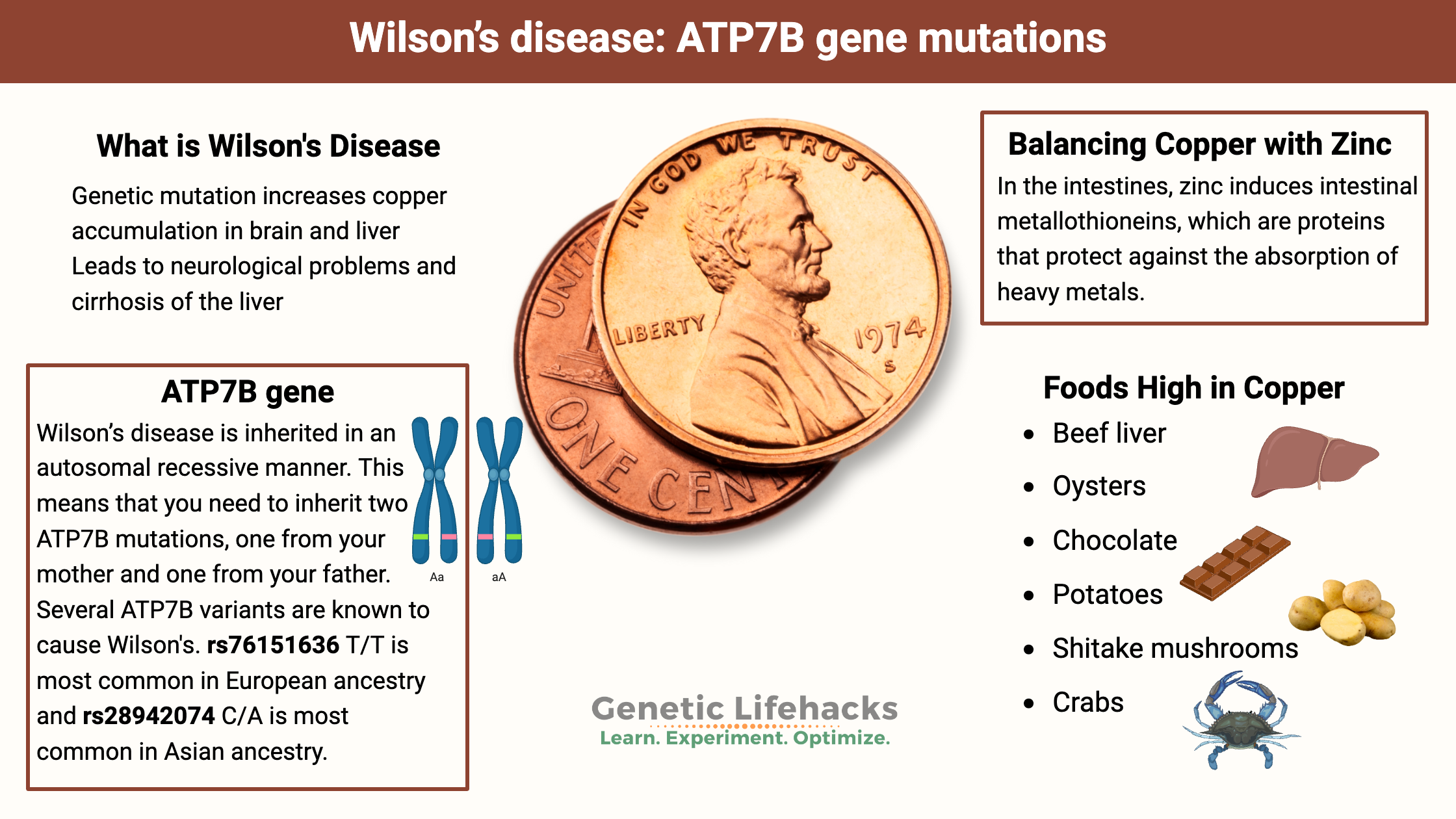 Wilson's Disease, ATP7B Gene mutations, role of zinc balancing heavy metals