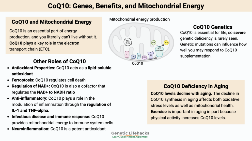 CoQ10: Genes, Benefits, and Mitochondrial Energy.