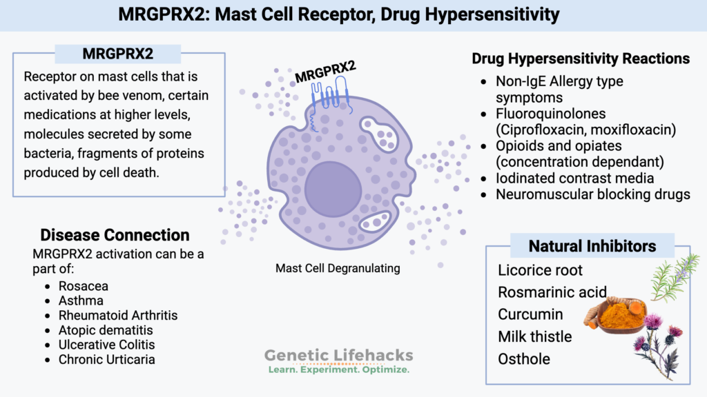 MRGPRX2: Mast Cell Receptor, Drug Hypersensitivity, Natural inhibitors for mast cell degranulation