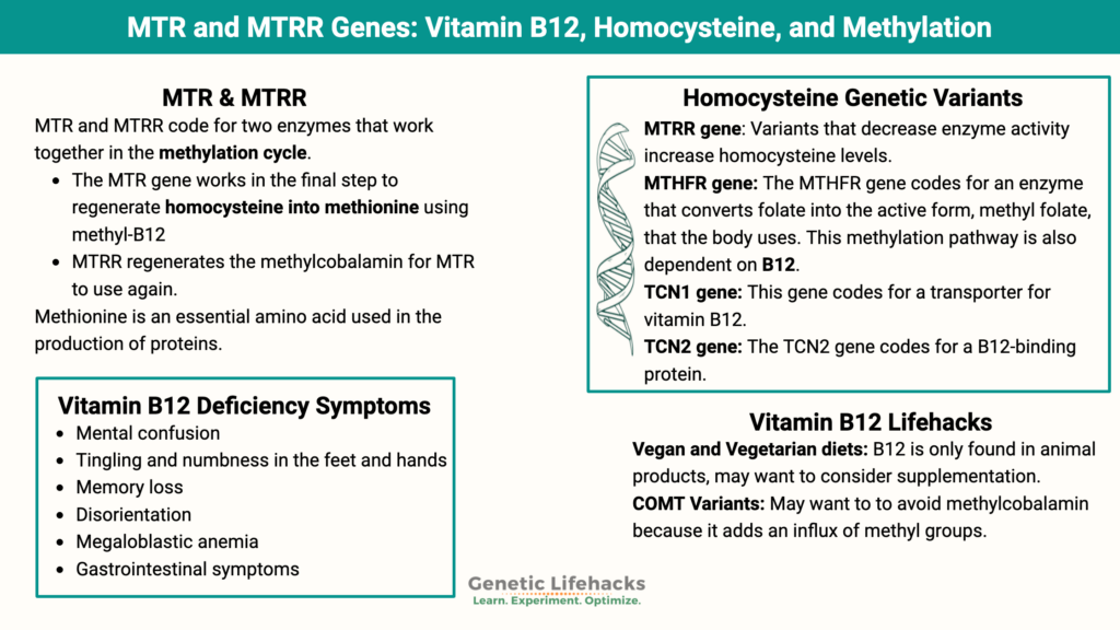 MTR and MTRR genetic variants, Vitamin b12 genetic variants, choosing the right form of B12 for your genetic variants