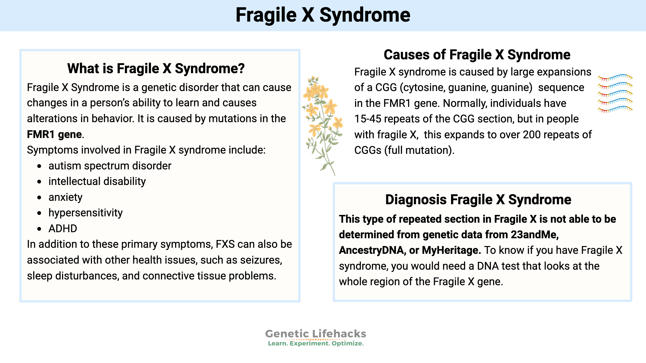 Fragile X Syndrome, FMR1 gene variants