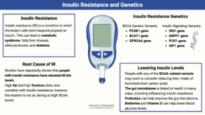 Genetics involved with insulin resistance, importance of BCAA's in insulin resistance