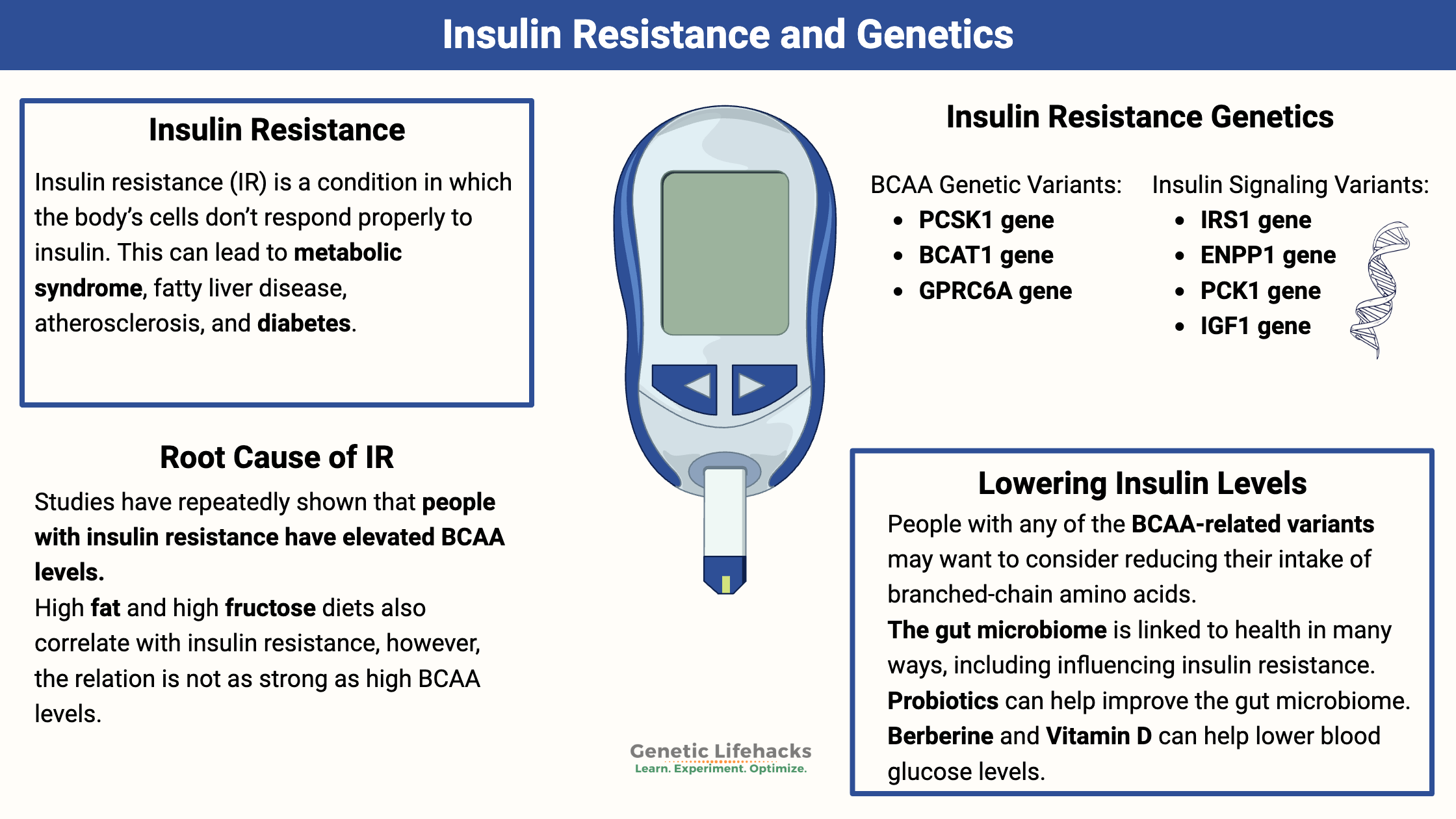 Genetics involved with insulin resistance, importance of BCAA's in insulin resistance