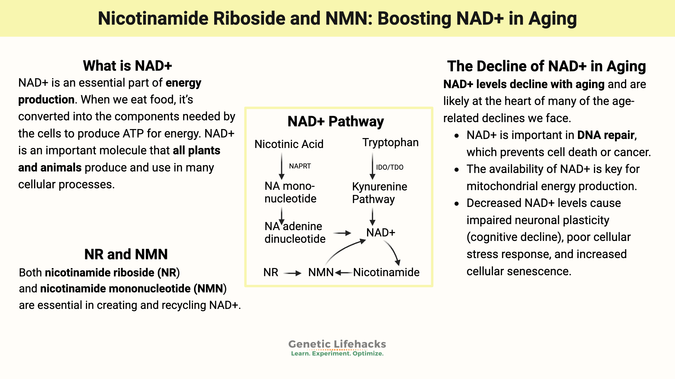 Nicotinamide riboside and NMN - Boosting NAD+ in aging