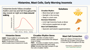 Histamine and early morning insomnia, histamine and circadian rhythm, mast cell activation, histamine genetics, circadian rhythm genetics