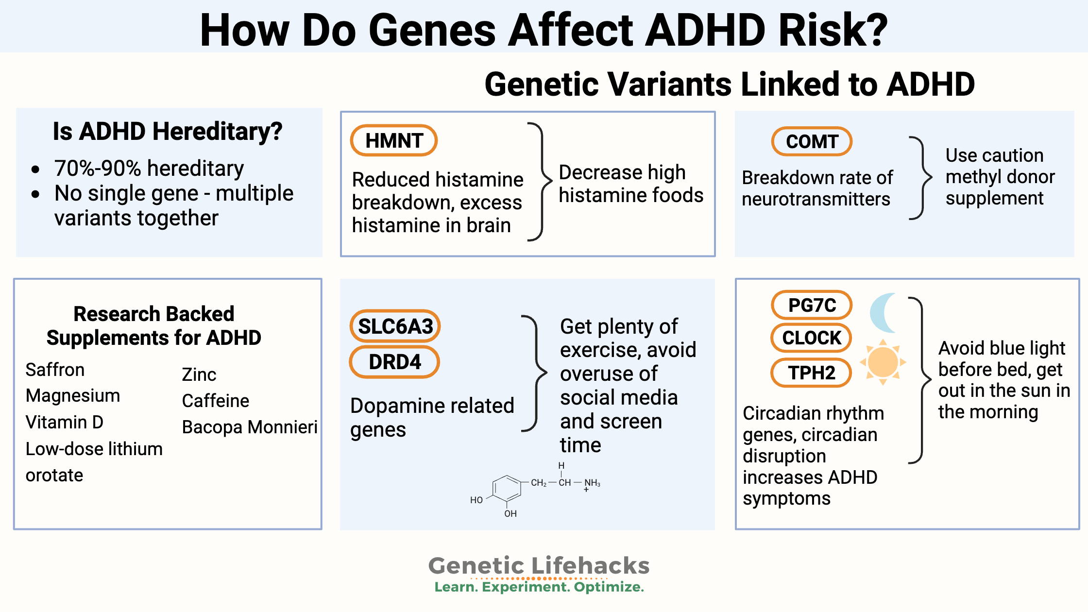 ADHD genetics and heritability, supplements for ADHD