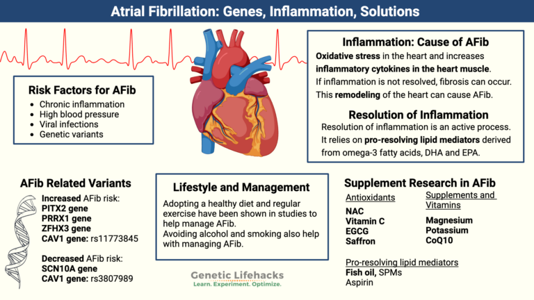 Atrial fibrillation: Intersection of genetic susceptibility with ...