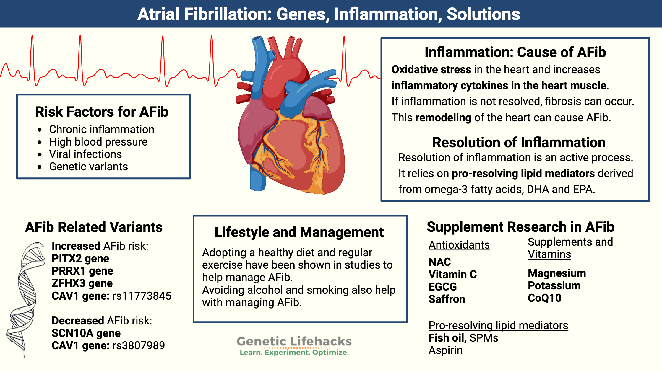Atrial Fibrillation: Genes, Inflammation, Solutions