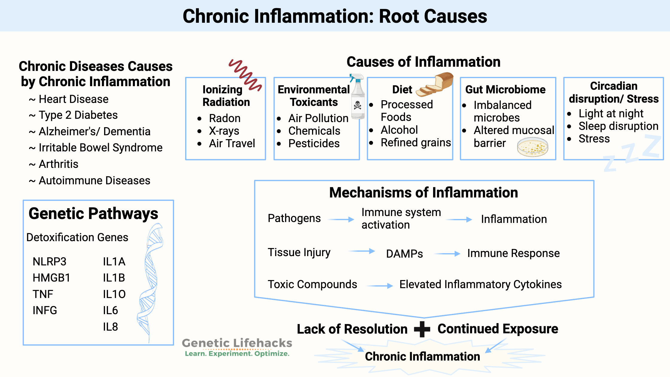 Chronic Inflammation, Causes, Genetic Interaction, Symptoms