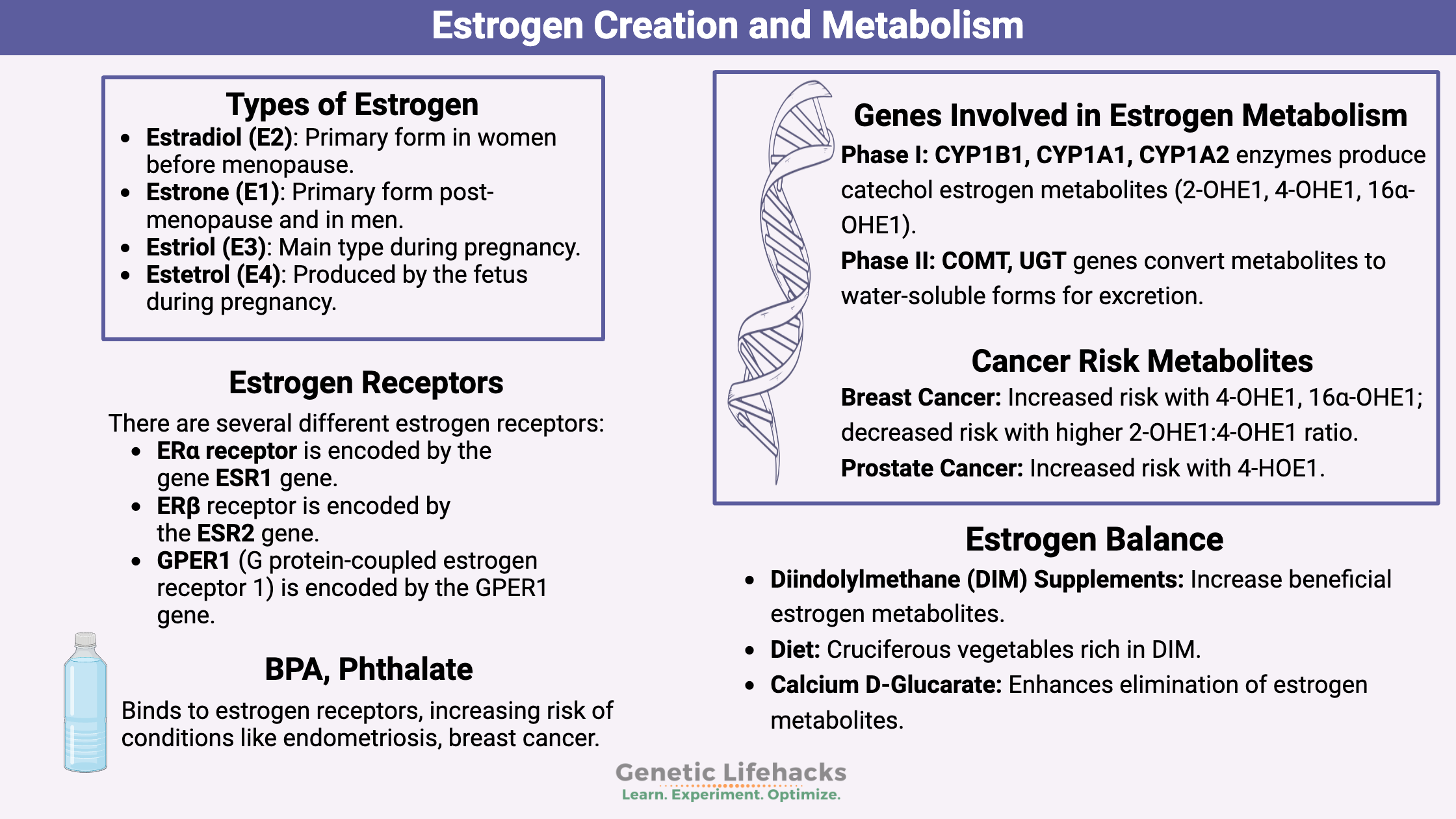 Estrogen metabolism, estrogen metabolites that increase cancer risk, estrogen genetic variants, steps to keep estrogen in balance