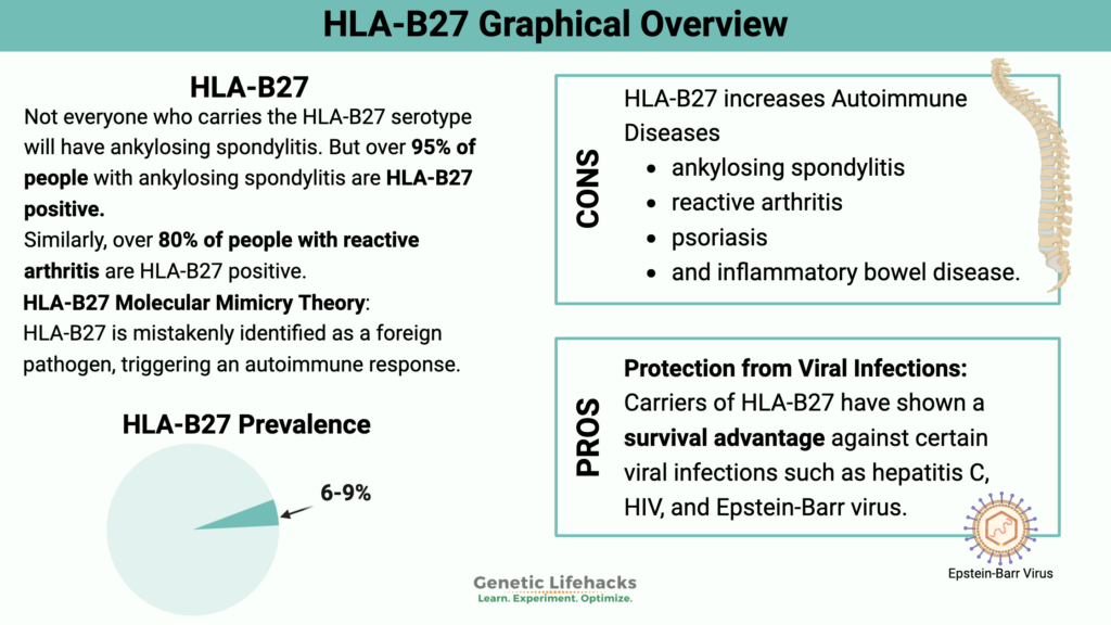 Graphical abstract of how to finding your HLA-B27 type from you 23andMe genetic raw data.