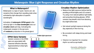 Melanopsin: Blue Light Response and Circadian Rhythm. Ways to optimize circadian rhythm