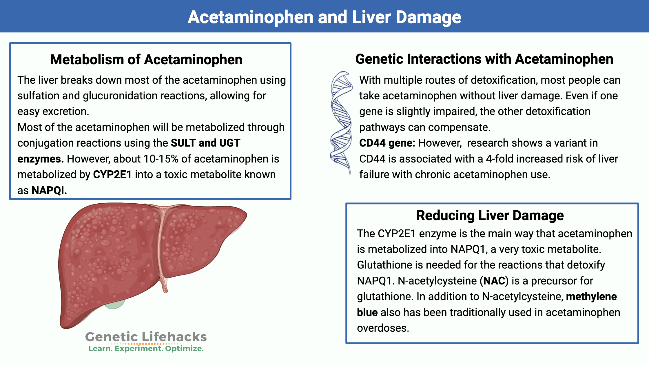 Genetic variants that affect liver damage from chronic acetaminophen use