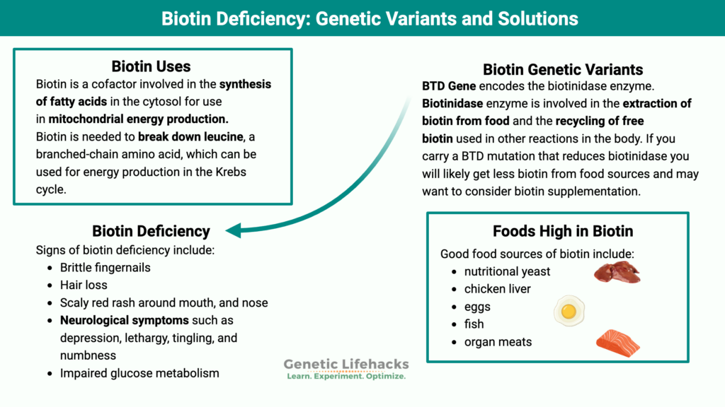 Biotin Genetic Variants, Biotin deficiency symptoms, foods high in biotin