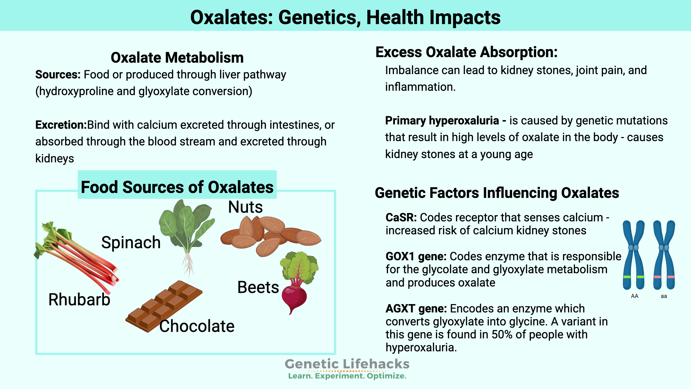 Genetic SNPs that impact oxalates