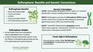 Sulforaphane foods, benefits and genetic connections