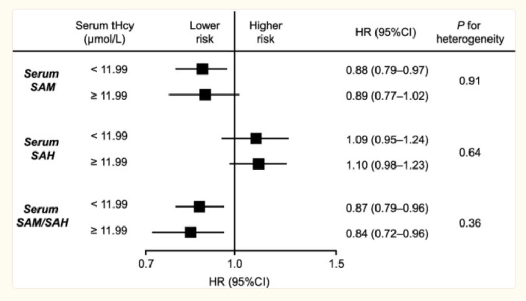 AHCY Gene: Tying together methylation and homocysteine