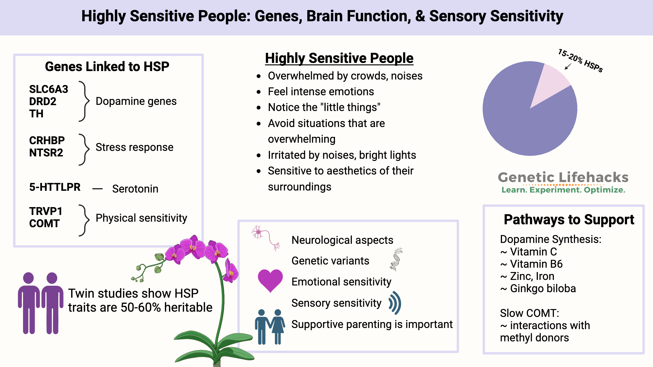 Highly sensitive people genetics