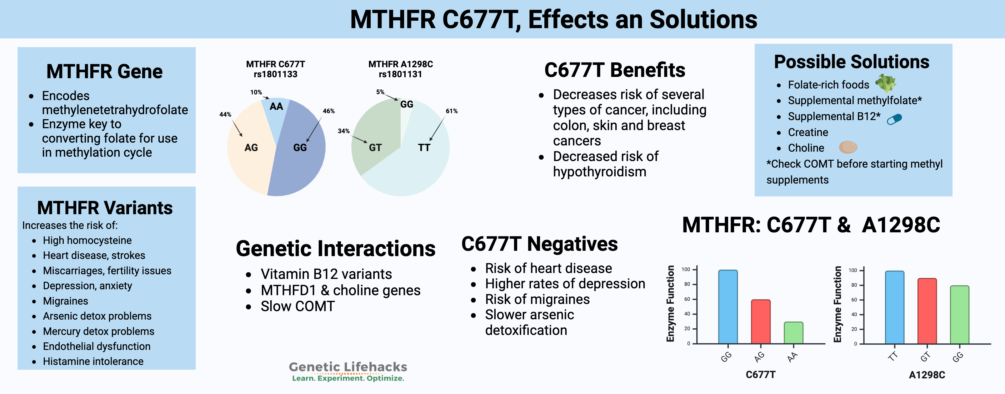 MTHFR c677t, symptoms and solutions