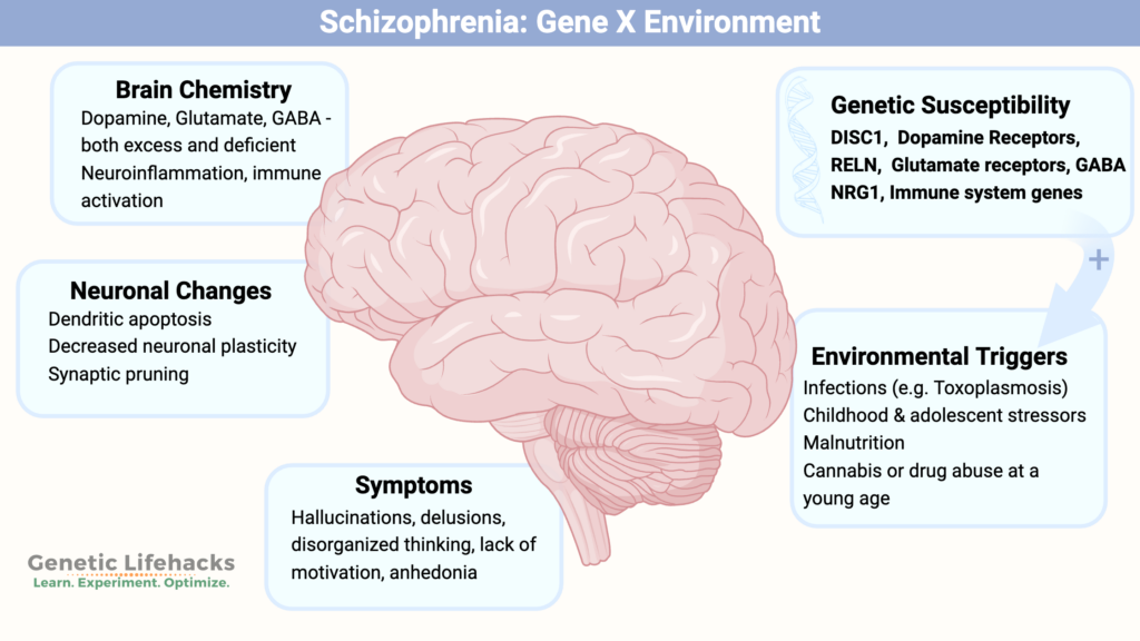 Genetic Lifehacks: Understand your genes.