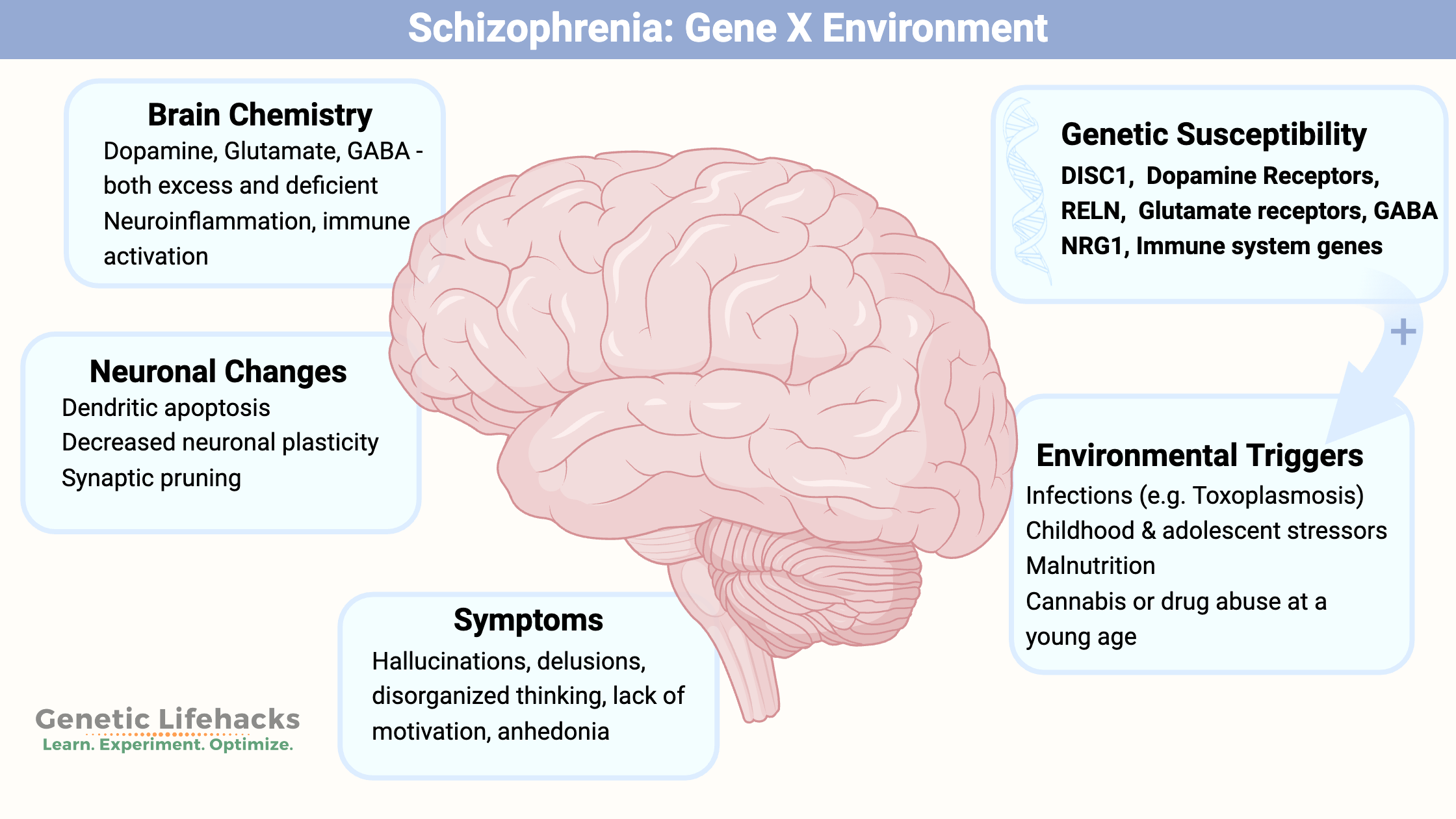 Graphical overview of the genetic and environmental factors involved in schizophrenia