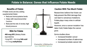 Importance of balancing folate, problems with too little folate, caution with too much folate, RDA for folate intake